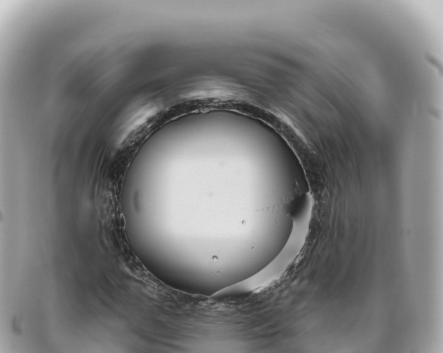 X0000095900967200801251221