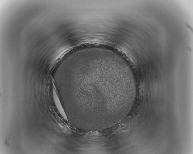 X0000095900968200801251221