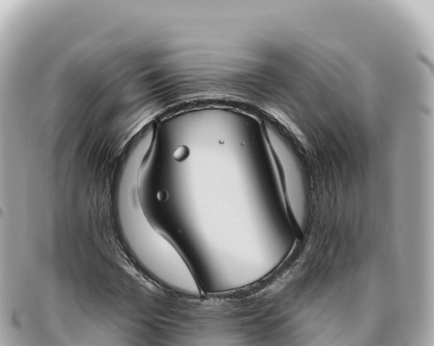 X0000095900969200801251221