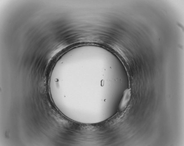 X0000095900971200801251221