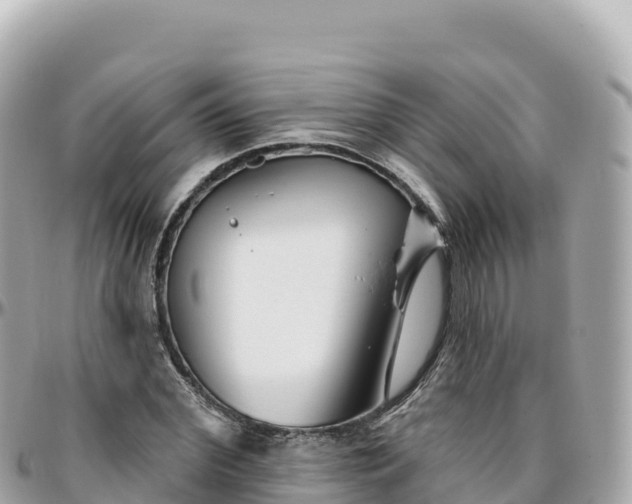 X0000095900972200801251221