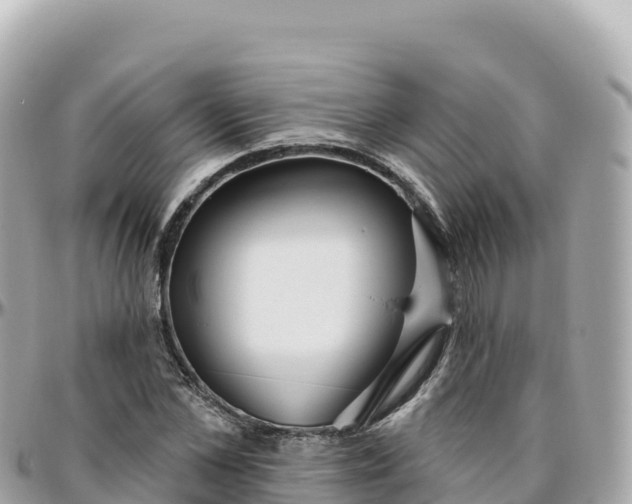 X0000095900973200801251221