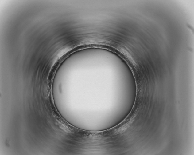 X0000095900974200801251221