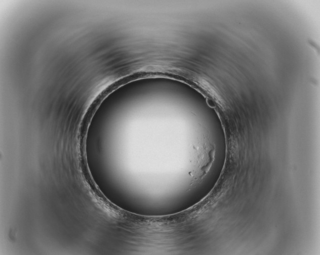 X0000095900976200801251221