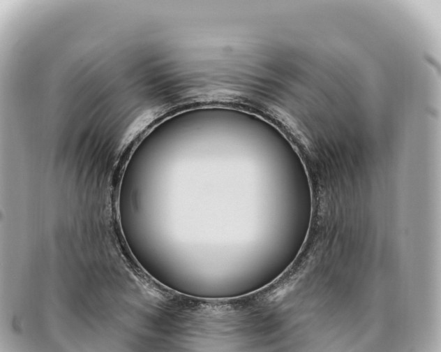 X0000095900978200801251221