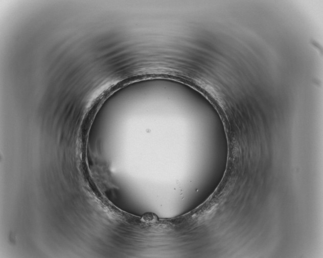 X0000095900979200801251220