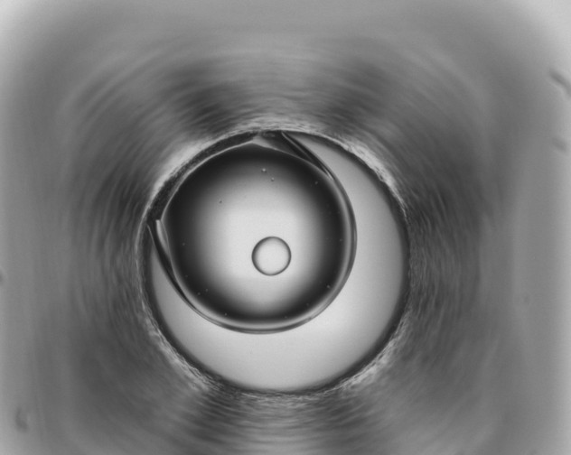 X0000095900981200801251220