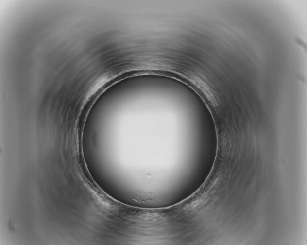 X0000095900982200801251220