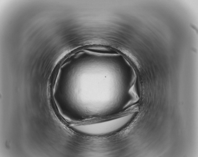 X0000095900983200801251220