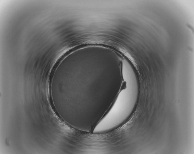 X0000095900984200801251220