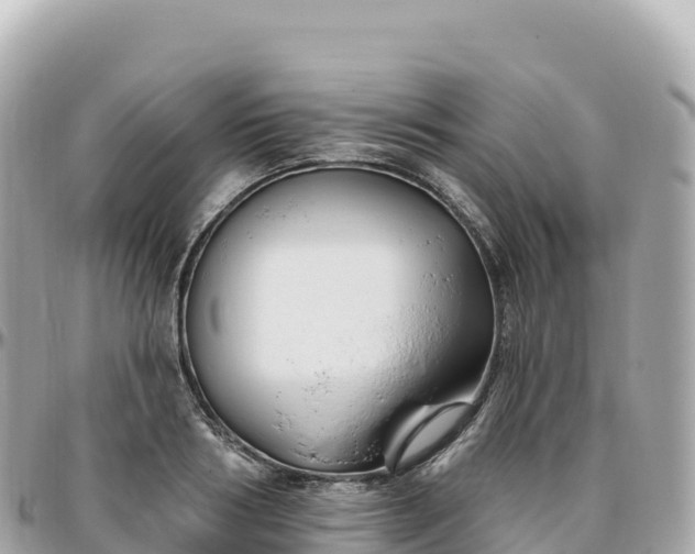 X0000095900986200801251220