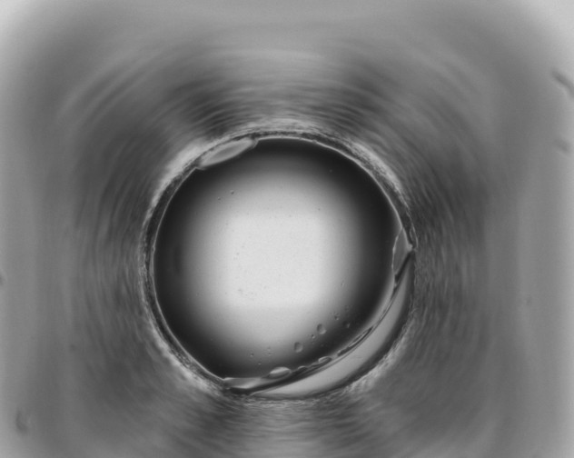 X0000095900989200801251220