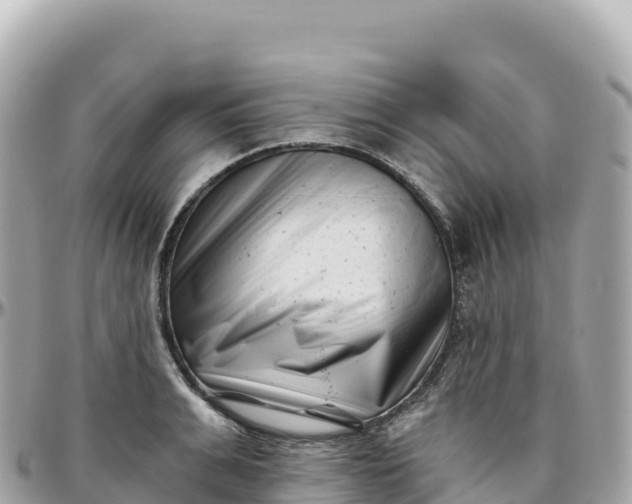 X0000095900991200801251220