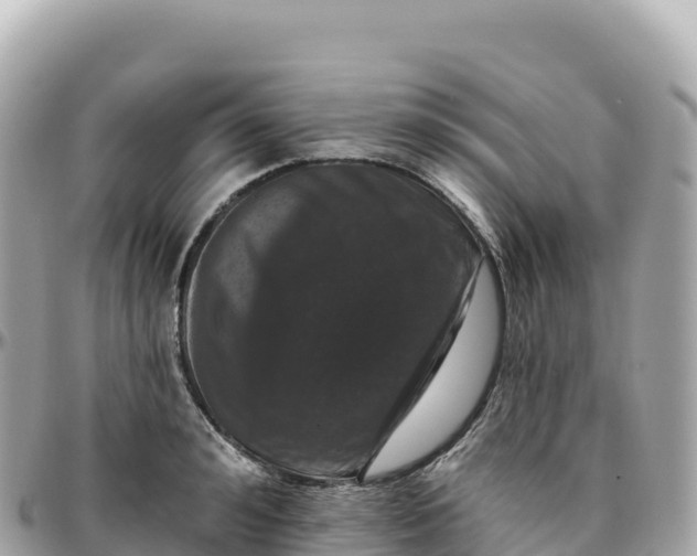 X0000095900992200801251220