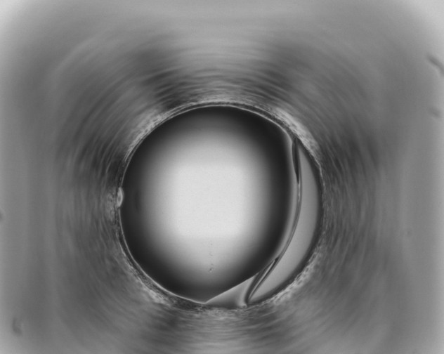 X0000095900993200801251220