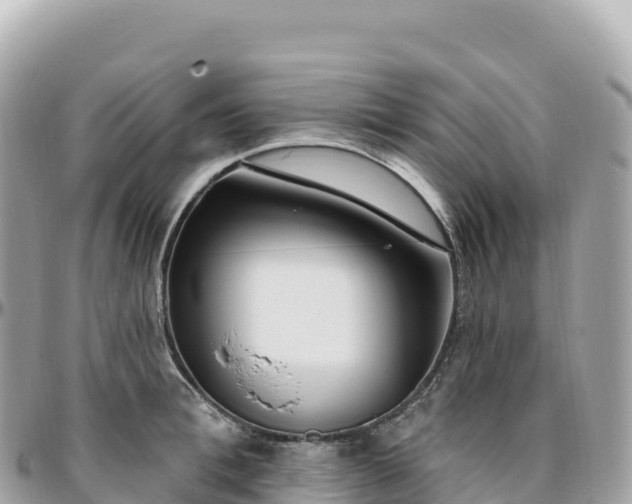 X0000095900996200801251220