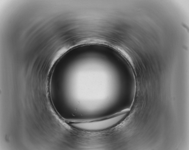 X0000095900997200801251220