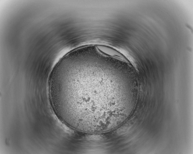 X0000095900998200801251220