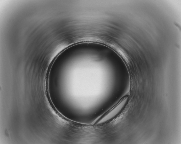 X0000095900999200801251220