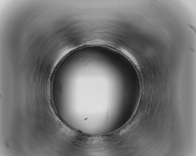 X0000095901000200801251220