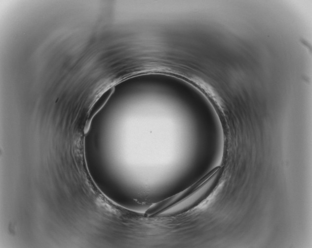 X0000095901001200801251220