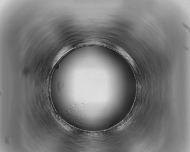 X0000095901002200801251220