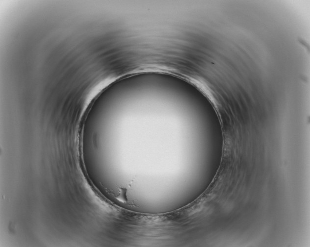 X0000095901003200801251220