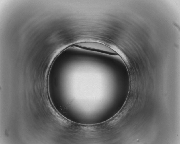 X0000095901004200801251220