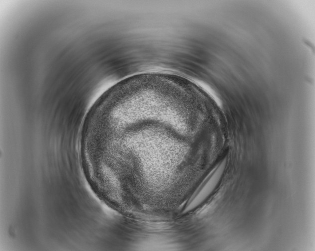 X0000095901007200801251220