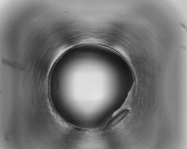 X0000095901008200801251220