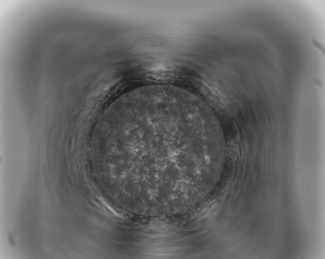 X0000095901009200801251219