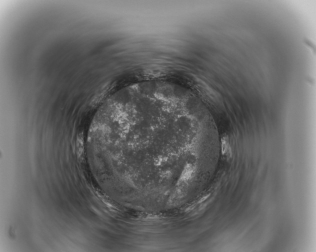 X0000095901011200801251219