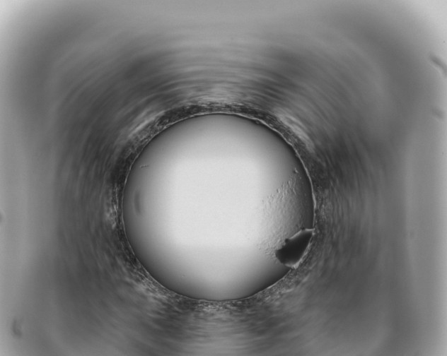 X0000095901015200801251220