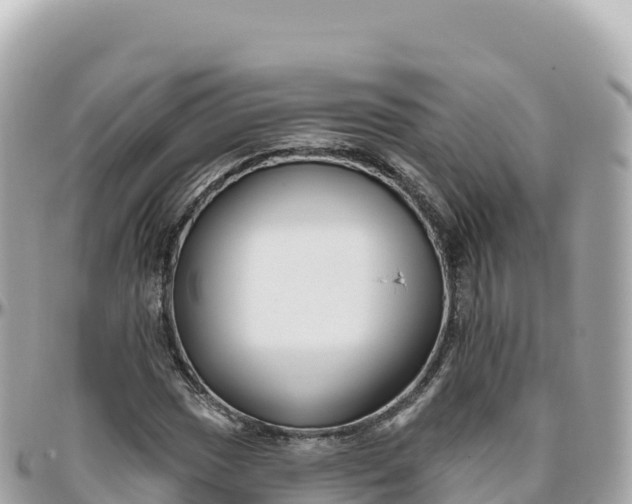 X0000095901017200801251220