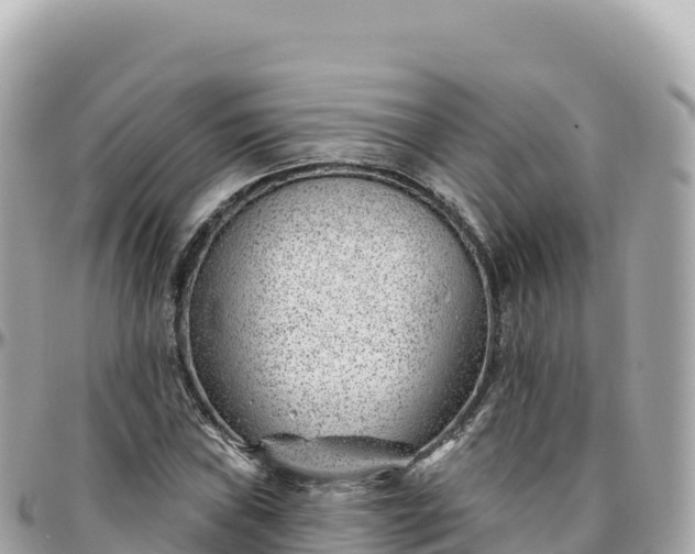 X0000095901019200801251220