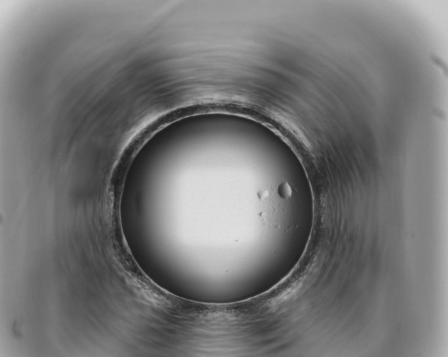 X0000095901021200801251220