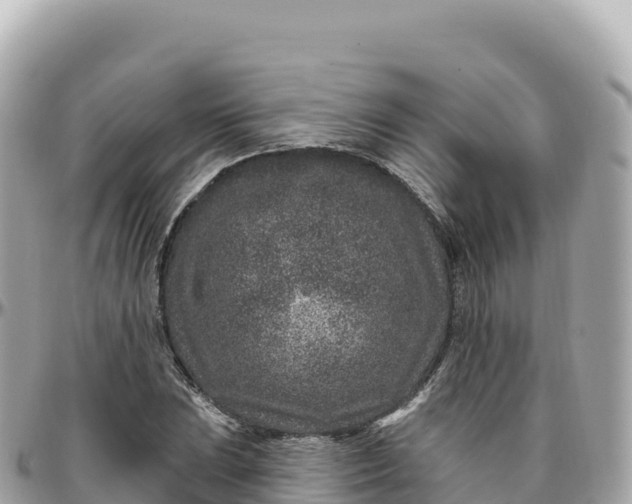 X0000095901023200801251220