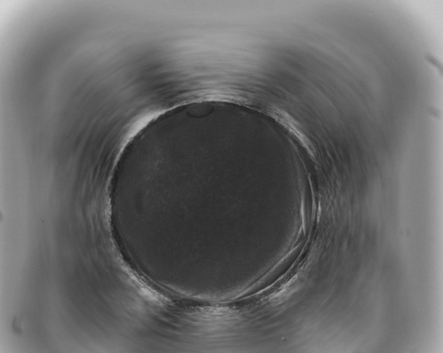 X0000095901024200801251220