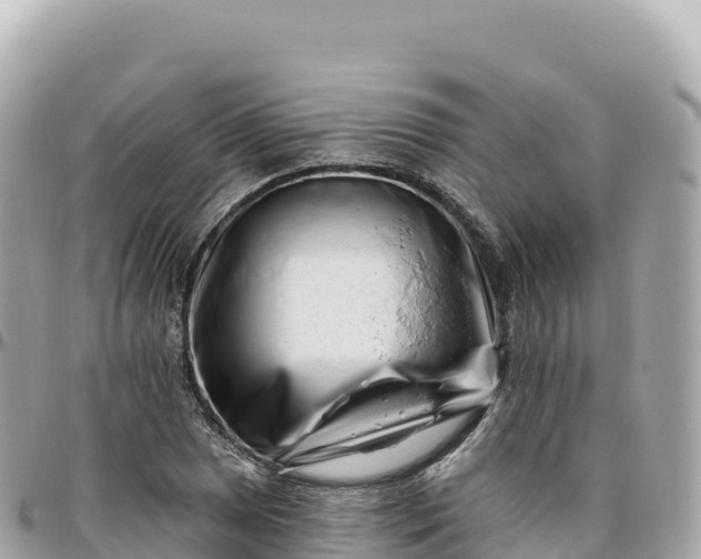 X0000095901025200801251220