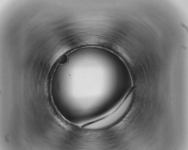 X0000095901026200801251220