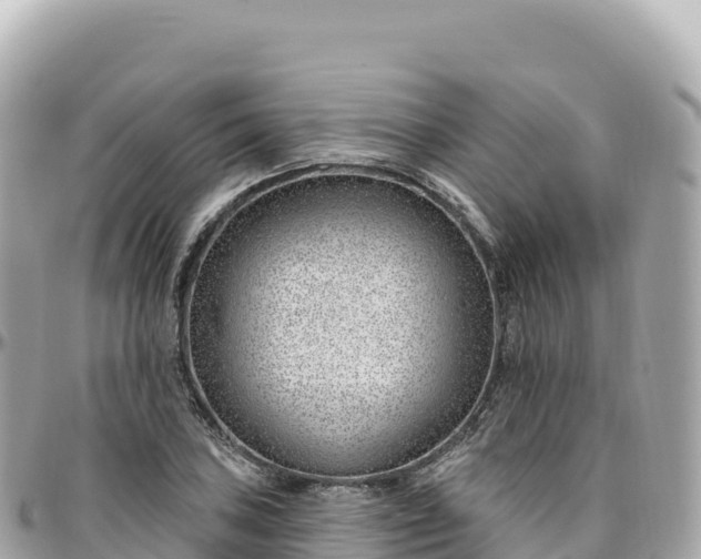 X0000095901027200801251220