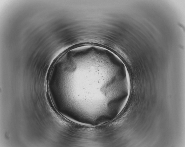 X0000095901028200801251220