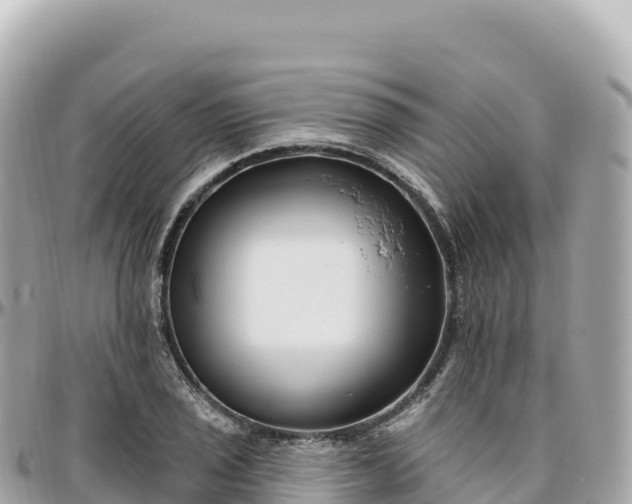 X0000095901029200801251220