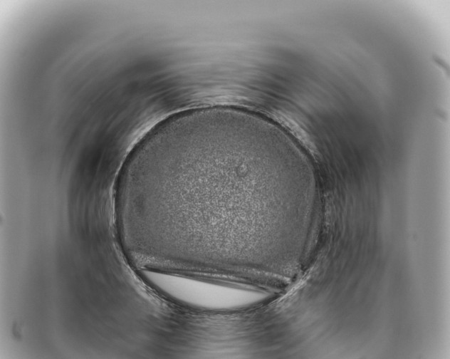 X0000095901031200801251220