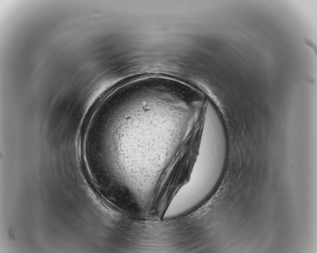 X0000095901032200801251220