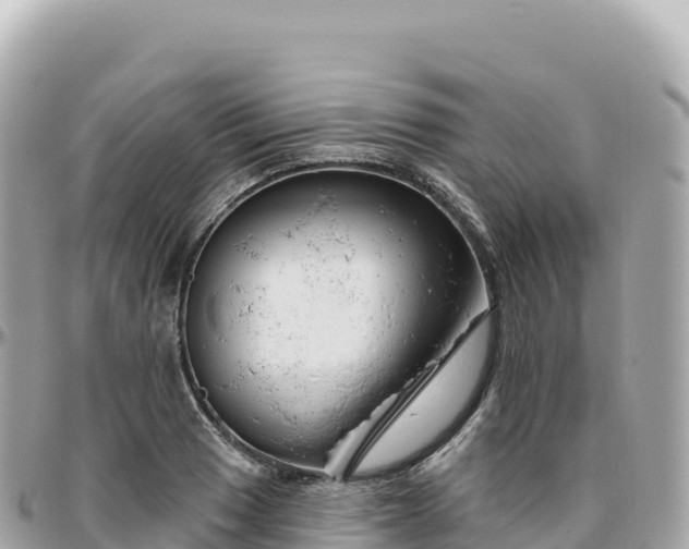 X0000095901033200801251220