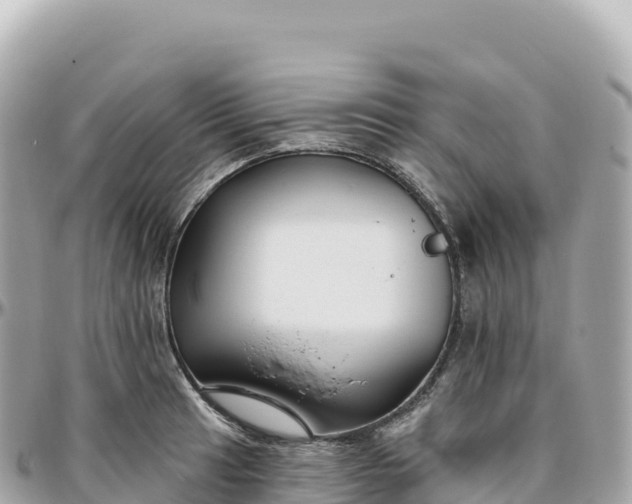 X0000095901041200801251220