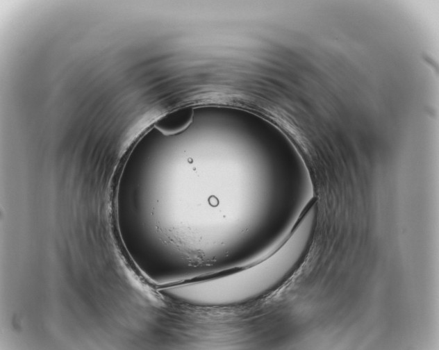 X0000095901042200801251220