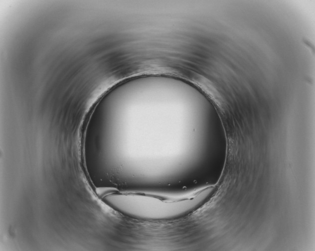 X0000095901046200801251220