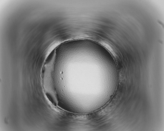 X0000095901047200801251220